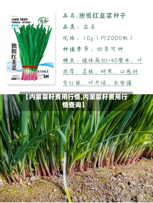 【内蒙菜籽费用行情,内蒙菜籽费用行情查询】