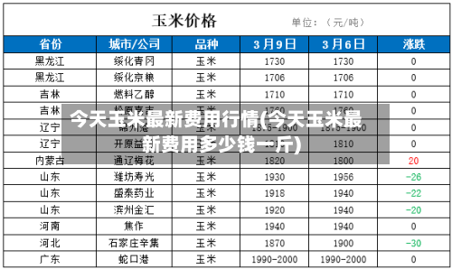 今天玉米最新费用行情(今天玉米最新费用多少钱一斤)