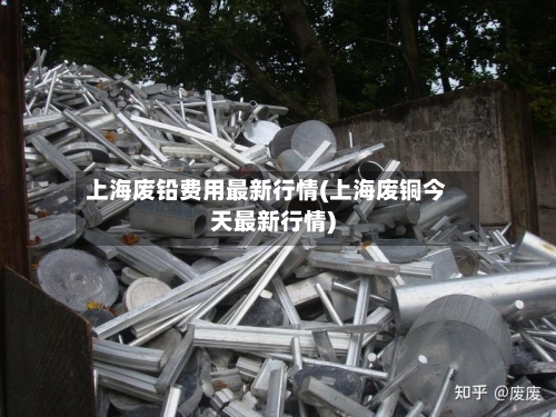 上海废铅费用最新行情(上海废铜今天最新行情)-第2张图片