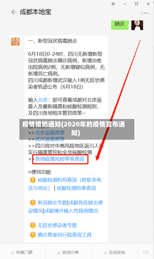疫情措施通知(2020年的疫情宣布通知)-第2张图片