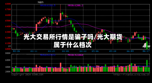 光大交易所行情是骗子吗/光大期货属于什么档次