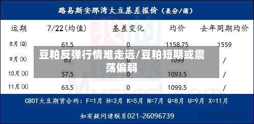 豆粕反弹行情难走远/豆粕短期或震荡偏弱