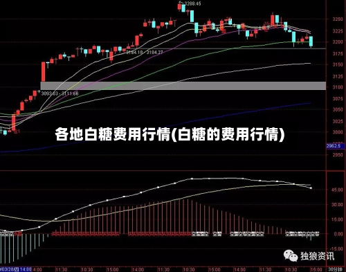各地白糖费用行情(白糖的费用行情)-第2张图片