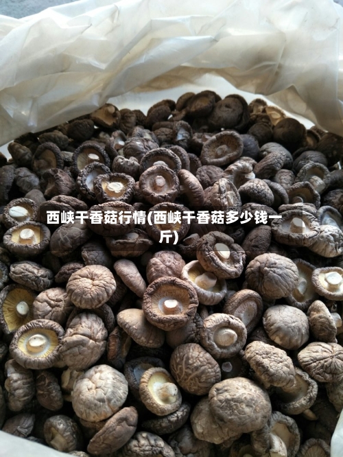 西峡干香菇行情(西峡干香菇多少钱一斤)-第3张图片