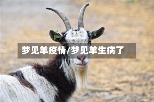 梦见羊疫情/梦见羊生病了-第3张图片