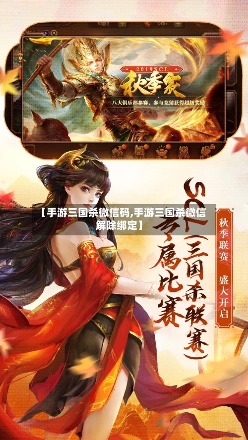 【手游三国杀微信码,手游三国杀微信解除绑定】