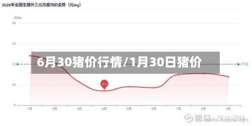 6月30猪价行情/1月30日猪价-第2张图片