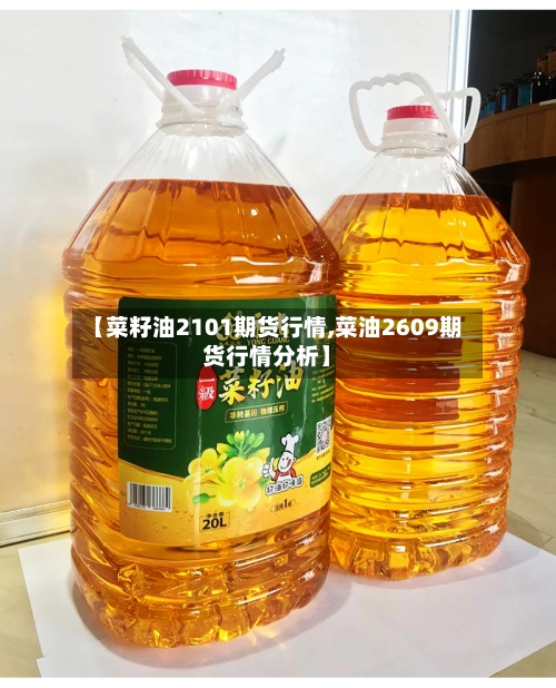 【菜籽油2101期货行情,菜油2609期货行情分析】-第3张图片