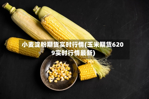 小麦淀粉期货实时行情(玉米期货6209实时行情最新)
