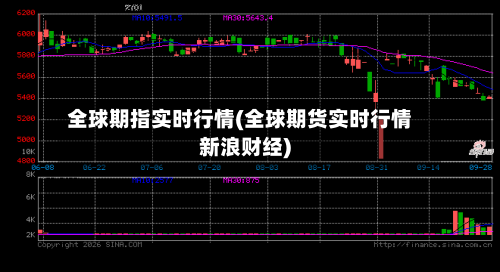 全球期指实时行情(全球期货实时行情新浪财经)