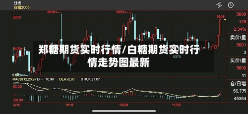 郑糖期货实时行情/白糖期货实时行情走势图最新