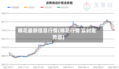 棉花最新信息行情(棉花行情 实时走势图)-第3张图片