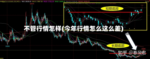 不管行情怎样(今年行情怎么这么差)-第3张图片