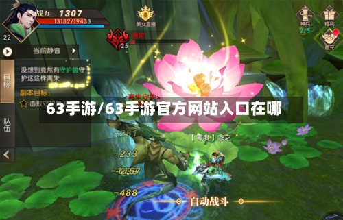 63手游/63手游官方网站入口在哪