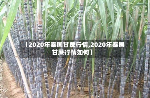 【2020年泰国甘蔗行情,2020年泰国甘蔗行情如何】