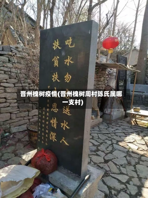 晋州槐树疫情(晋州槐树周村陈氏属哪一支村)-第3张图片