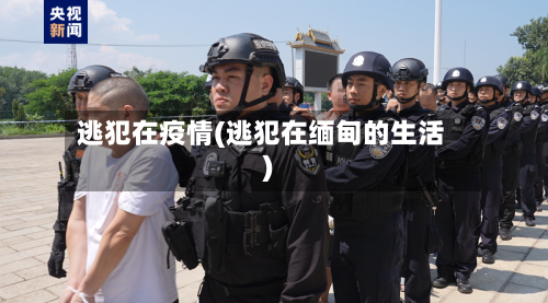 逃犯在疫情(逃犯在缅甸的生活)