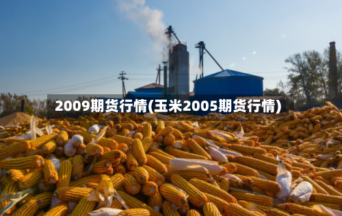 2009期货行情(玉米2005期货行情)-第2张图片