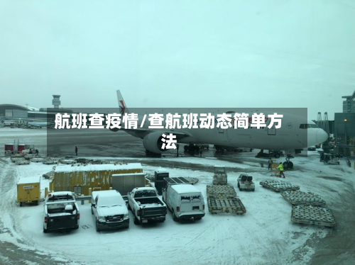 航班查疫情/查航班动态简单方法