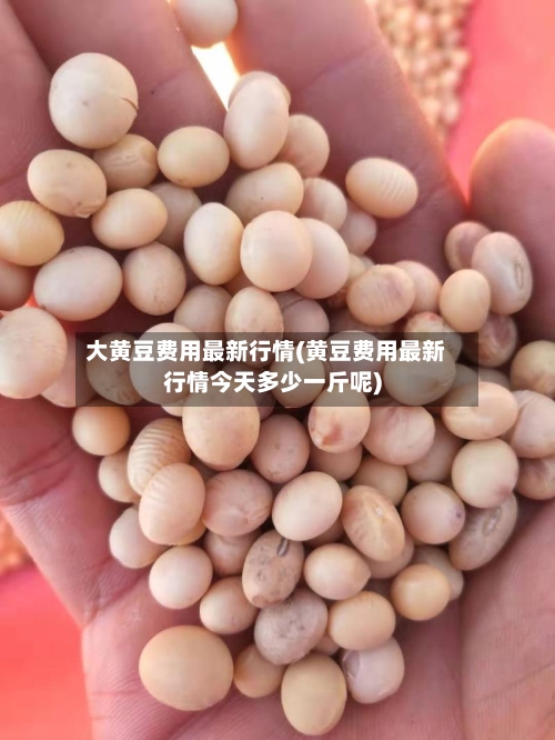 大黄豆费用最新行情(黄豆费用最新行情今天多少一斤呢)-第2张图片