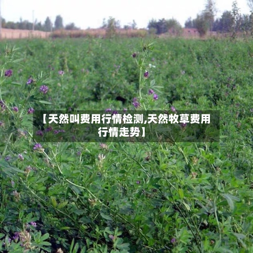 【天然叫费用行情检测,天然牧草费用行情走势】