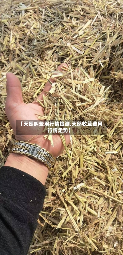 【天然叫费用行情检测,天然牧草费用行情走势】-第2张图片
