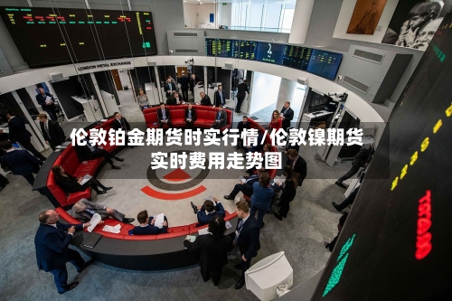 伦敦铂金期货时实行情/伦敦镍期货实时费用走势图-第2张图片