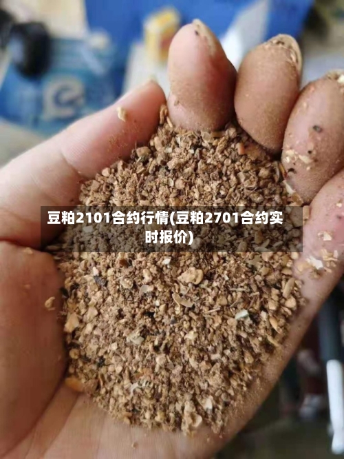 豆粕2101合约行情(豆粕2701合约实时报价)