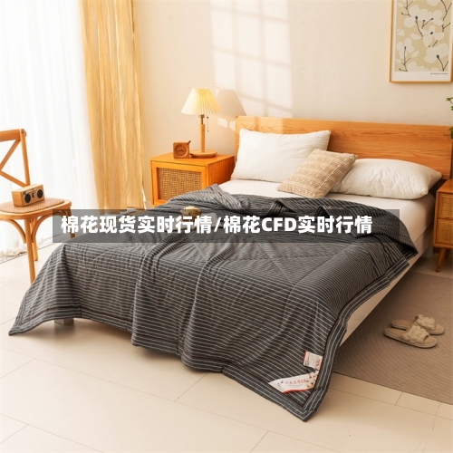 棉花现货实时行情/棉花CFD实时行情-第3张图片