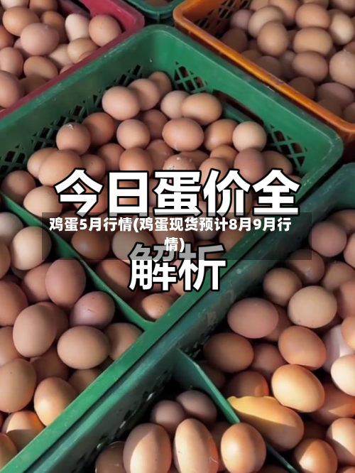 鸡蛋5月行情(鸡蛋现货预计8月9月行情)-第2张图片