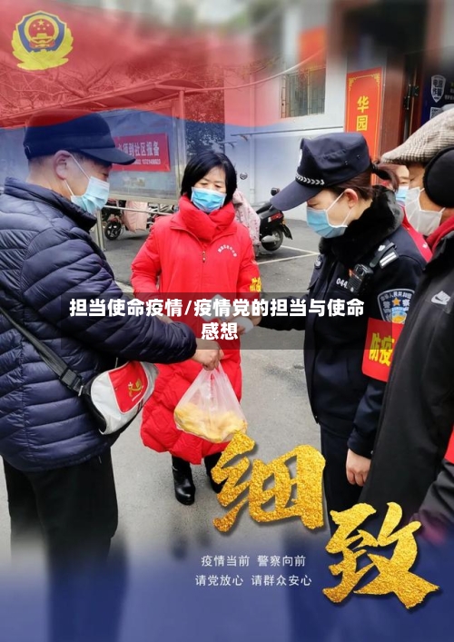 担当使命疫情/疫情党的担当与使命 感想-第2张图片