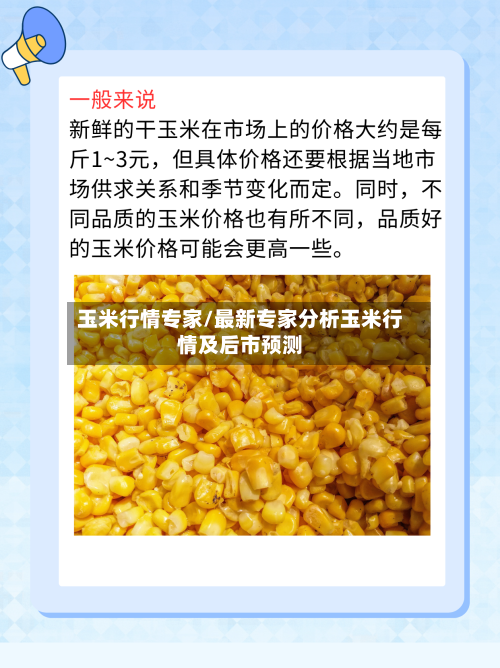 玉米行情专家/最新专家分析玉米行情及后市预测-第2张图片