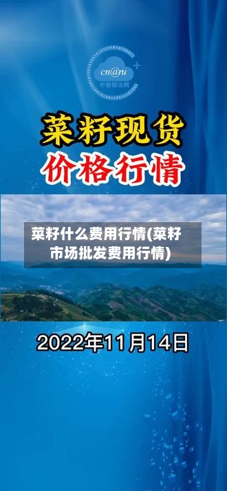 菜籽什么费用行情(菜籽市场批发费用行情)-第3张图片