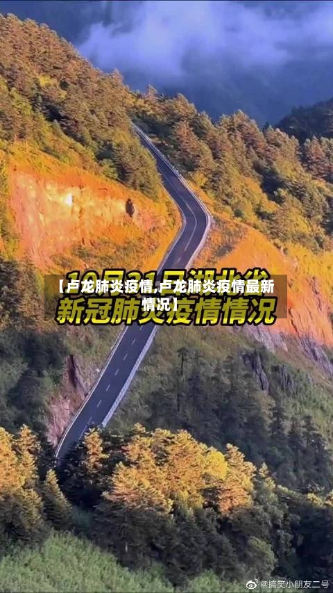 【卢龙肺炎疫情,卢龙肺炎疫情最新情况】