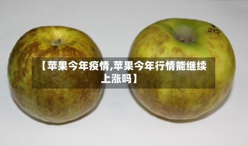 【苹果今年疫情,苹果今年行情能继续上涨吗】