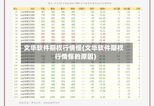 文华软件期权行情慢(文华软件期权行情慢的原因)-第2张图片