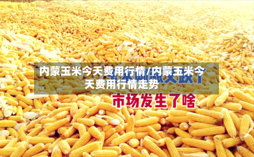 内蒙玉米今天费用行情/内蒙玉米今天费用行情走势