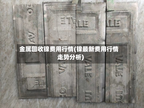 金属回收镍费用行情(镍最新费用行情走势分析)