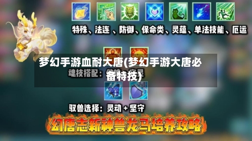梦幻手游血耐大唐(梦幻手游大唐必备特技)-第2张图片