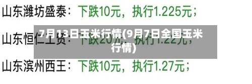 7月13日玉米行情(9月7日全国玉米行情)