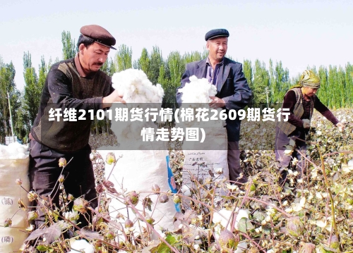 纤维2101期货行情(棉花2609期货行情走势图)-第2张图片