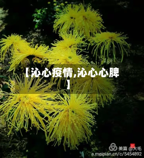 【沁心疫情,沁心心脾】-第2张图片