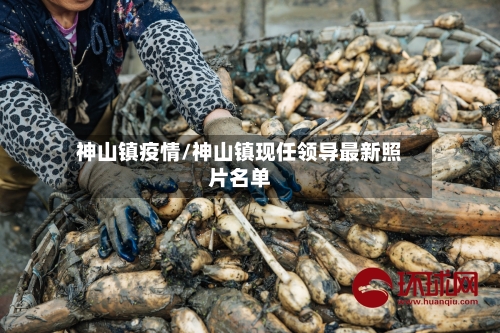 神山镇疫情/神山镇现任领导最新照片名单
