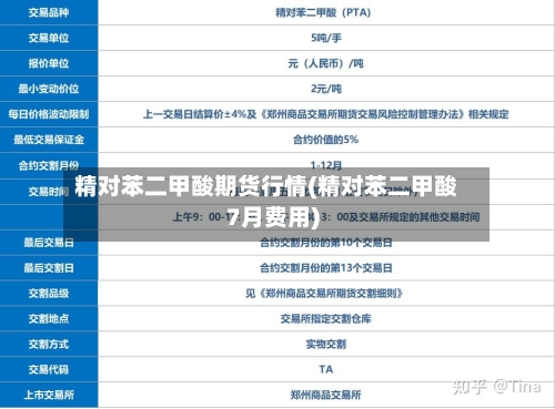 精对苯二甲酸期货行情(精对苯二甲酸7月费用)