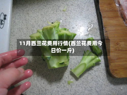 11月西兰花费用行情(西兰花费用今日价一斤)-第3张图片