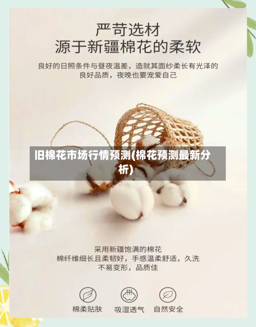 旧棉花市场行情预测(棉花预测最新分析)