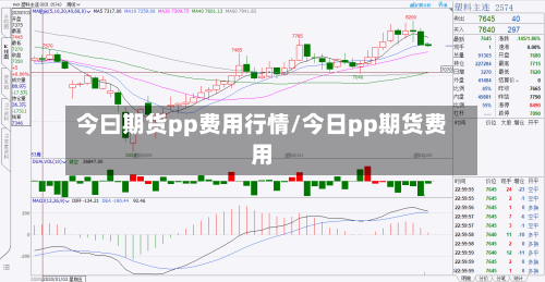 今曰期货pp费用行情/今日pp期货费用-第2张图片
