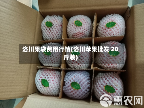 洛川果袋费用行情(洛川苹果批发 20斤装)