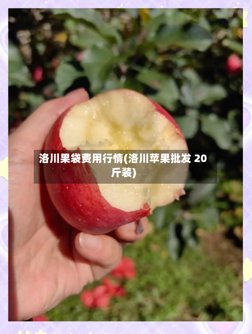 洛川果袋费用行情(洛川苹果批发 20斤装)-第3张图片