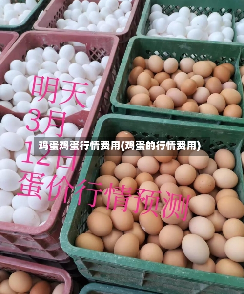 鸡蛋鸡蛋行情费用(鸡蛋的行情费用)